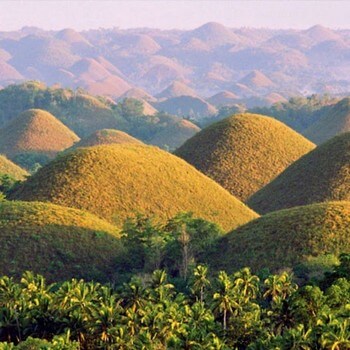 olvis-cebu-travel-tour-agency-img-bohol