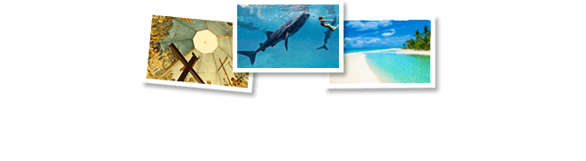 olvis-travel-tour-company-cebu-philippines
